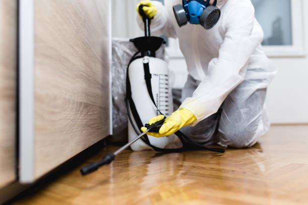 Best Flea Control Services  in Story City, IA