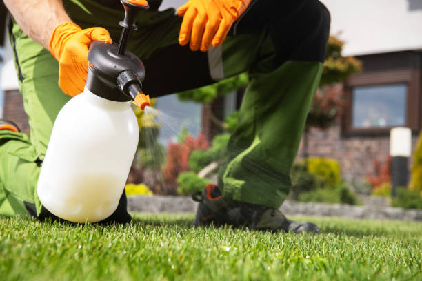 Best Affordable Pest Control Services  in Story City, IA