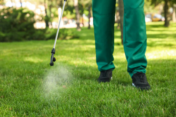Best Emergency Pest Control  in Story City, IA